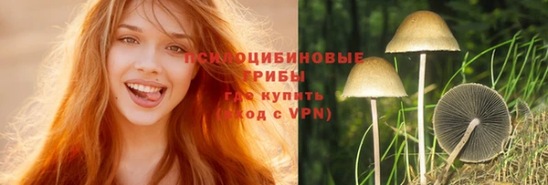 таблы Алзамай