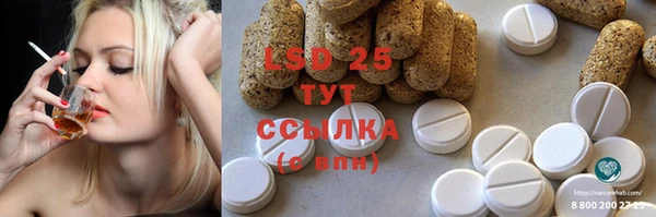 ГАЛЛЮЦИНОГЕННЫЕ ГРИБЫ Алексин
