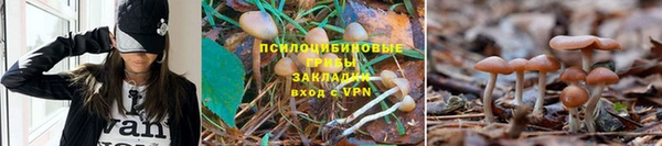 спайс Алексеевка