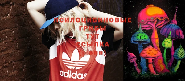 таблы Алзамай