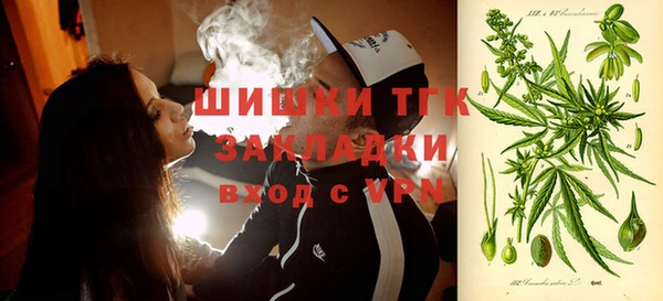 ГАЛЛЮЦИНОГЕННЫЕ ГРИБЫ Алексин