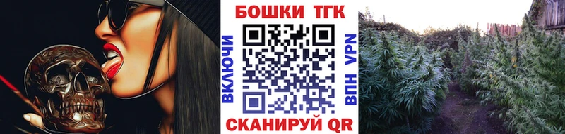 Купить  Камызяк  Шишки марихуана марихуана 